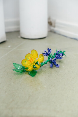 Island of Contemporary Art