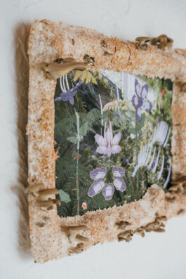 Island of Contemporary Art