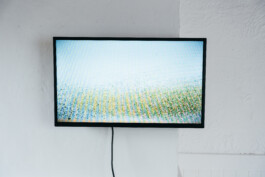 Island of Contemporary Art