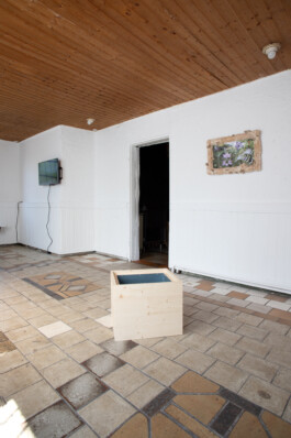 Island of Contemporary Art