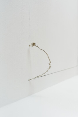 Island of Contemporary Art