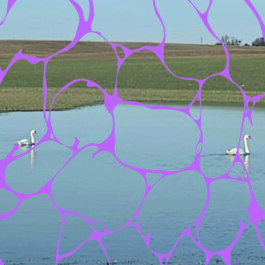 Island of Contemporary Art