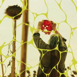 Island of Contemporary Art